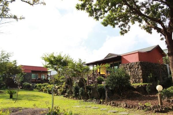 Gotjawal Geomunoreum Pension 済州市 エクステリア 写真