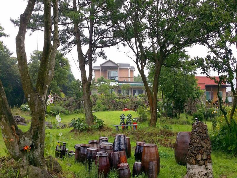 Gotjawal Geomunoreum Pension 済州市 エクステリア 写真
