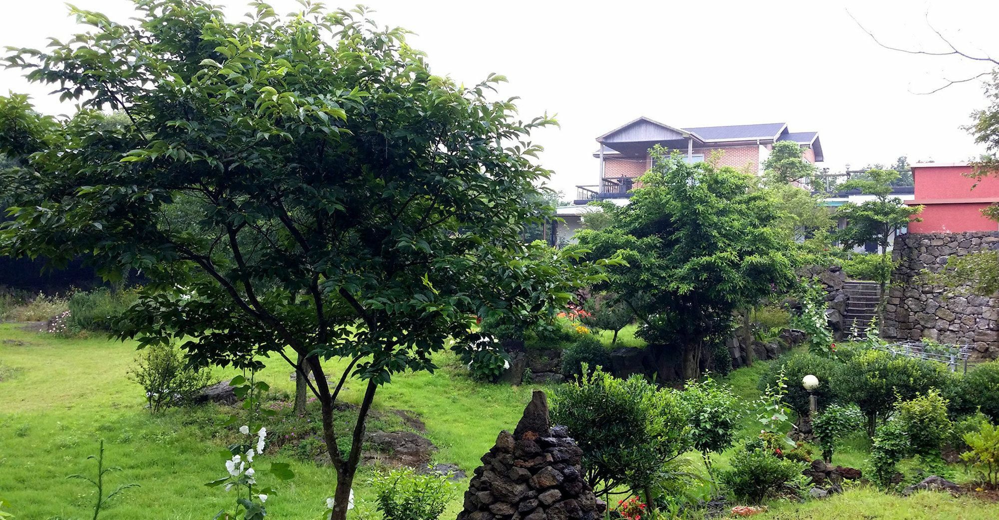 Gotjawal Geomunoreum Pension 済州市 エクステリア 写真