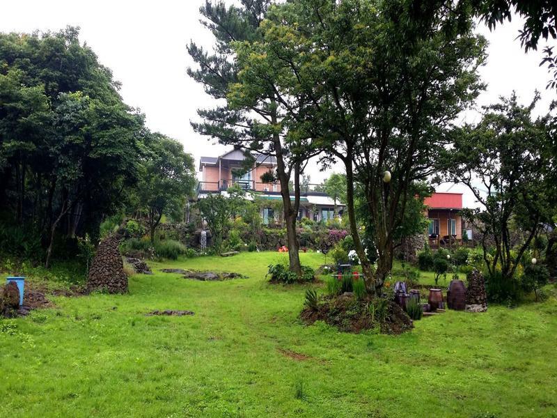 Gotjawal Geomunoreum Pension 済州市 エクステリア 写真